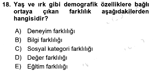 Uluslararası İşletmecilik 2024-2025 Dönem Sonu Sınavı - 18. soru