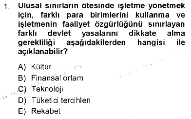 Uluslararası İşletmecilik 2012-2013 Tek Ders Sınavı - 1. soru