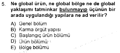 Uluslararası İşletmecilik 2012-2013 Tek Ders Sınavı - 5. soru