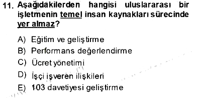 Uluslararası İşletmecilik 2013-2014 Tek Ders Sınavı - 11. soru