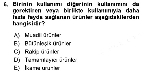 Uluslararası İşletmecilik 2018-2019 Tek Ders Sınavı - 6. soru