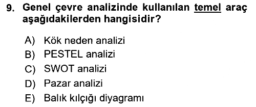 Uluslararası İşletmecilik 2018-2019 Tek Ders Sınavı - 9. soru