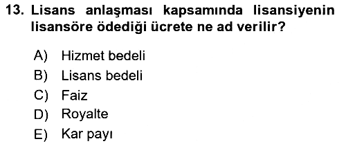 Uluslararası İşletmecilik 2018-2019 Tek Ders Sınavı - 13. soru