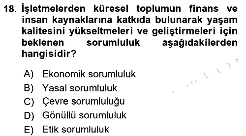 Uluslararası İşletmecilik 2021-2022 Yaz Okulu Sınavı - 18. soru