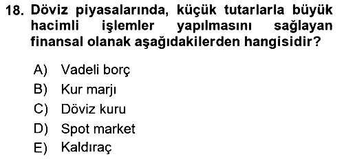 Uluslararası İşletmecilik 2022-2023 Yaz Okulu Sınavı - 18. soru