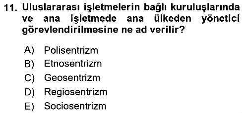 Uluslararası İşletmecilik 2023-2024 Yaz Okulu Sınavı - 11. soru