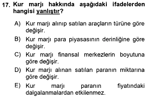 Uluslararası İşletmecilik 2024-2025 Yaz Okulu Sınavı - 17. soru