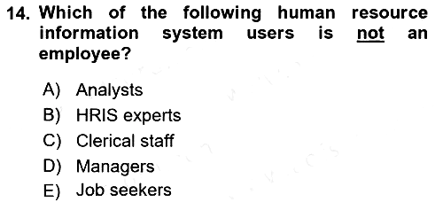 Business Information Systems 2018-2019 Ara Sınav - 14. soru