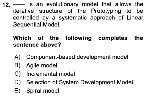 Business Information Systems 2021-2022 Ara Sınav - 12. soru