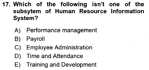 Business Information Systems 2023-2024 Ara Sınav - 17. soru