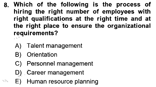 Human Resource Management 2021-2022 Ara Sınav - 8. soru