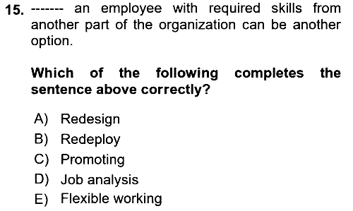 Human Resource Management 2024-2025 Ara Sınav - 15. soru