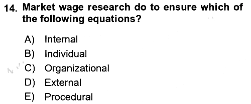 Human Resource Management 2020-2021 Yaz Okulu Sınavı - 14. soru
