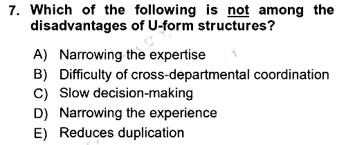 Organization Theory and Design 2024-2025 Ara Sınav - 7. soru