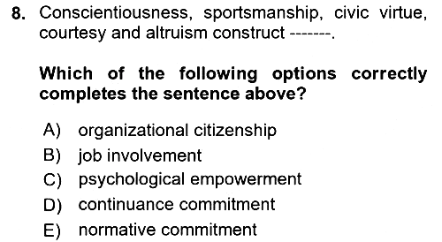 Organizational Behavior 2021-2022 Ara Sınav - 8. soru