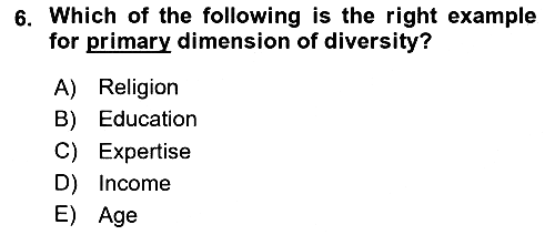 Organizational Behavior 2023-2024 Ara Sınav - 6. soru