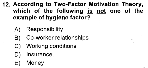 Organizational Behavior 2024-2025 Ara Sınav - 12. soru