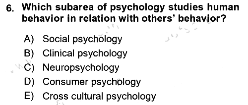 Psychology 2024-2025 Ara Sınav - 6. soru