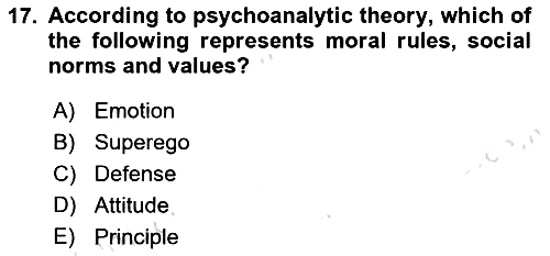Psychology 2024-2025 Dönem Sonu Sınavı - 17. soru