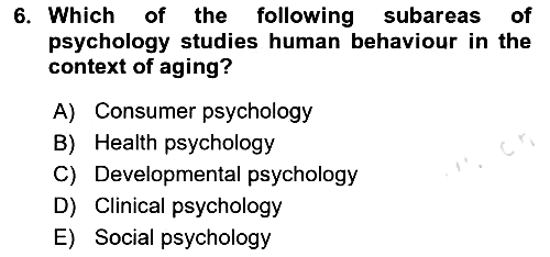 Psychology 2020-2021 Yaz Okulu Sınavı - 6. soru