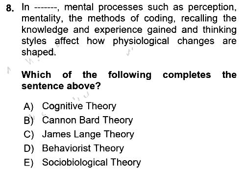 Psychology 2021-2022 Yaz Okulu Sınavı - 8. soru