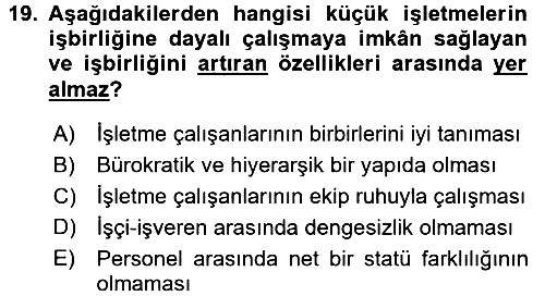 Küçük İşletme Yönetimi 2015-2016 Ara Sınav - 19. soru