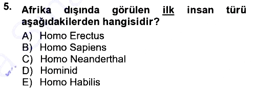 Anadolu Arkeolojisi 2014-2015 Ara Sınav - 5. soru