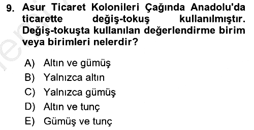 Anadolu Arkeolojisi 2025-2026 Ara Sınav - 9. soru