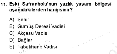 Türkiye´nin Kültürel Mirası 1 2013-2014 Dönem Sonu Sınavı - 11. soru