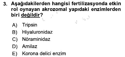Doğum Bilgisi ve Suni Tohumlama 2018-2019 3 Ders Sınavı - 3. soru