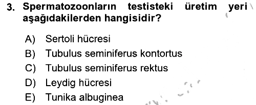 Doğum Bilgisi ve Suni Tohumlama 2016-2017 Ara Sınav - 3. soru