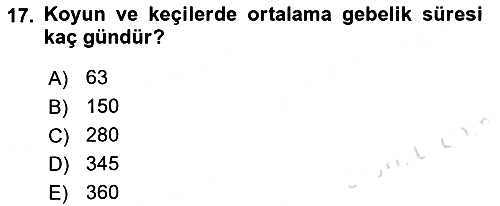 Doğum Bilgisi ve Suni Tohumlama 2021-2022 Ara Sınav - 17. soru