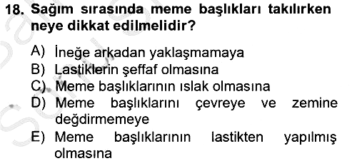 Doğum Bilgisi ve Suni Tohumlama 2012-2013 Dönem Sonu Sınavı - 18. soru