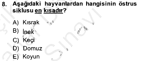 Doğum Bilgisi ve Suni Tohumlama 2013-2014 Dönem Sonu Sınavı - 8. soru