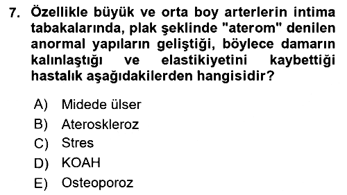 Halk Sağlığı 2018-2019 Ara Sınav - 7. soru