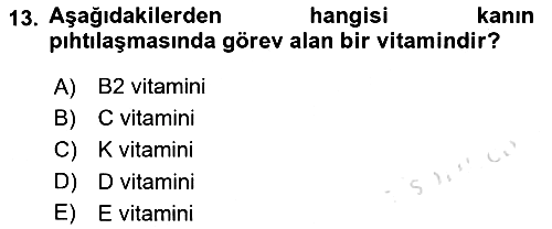 Halk Sağlığı 2024-2025 Dönem Sonu Sınavı - 13. soru
