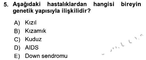 Halk Sağlığı 2018-2019 Yaz Okulu Sınavı - 5. soru