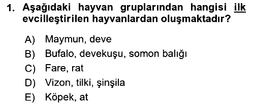 Hayvan Davranışları ve Refahı 2018-2019 3 Ders Sınavı - 1. soru