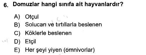 Hayvan Davranışları ve Refahı 2022-2023 Yaz Okulu Sınavı - 6. soru