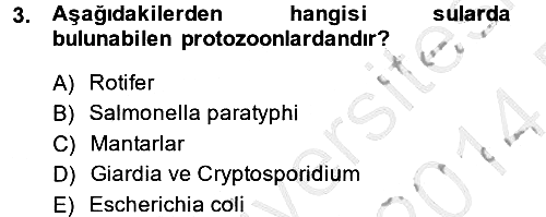 Hijyen ve Sanitasyon 2013-2014 Dönem Sonu Sınavı - 3. soru