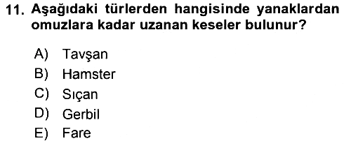 Laboratuvar Hayvanlarını Yetiştirme ve Sağlığı 2016-2017 3 Ders Sınavı - 11. soru