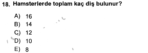 Laboratuvar Hayvanlarını Yetiştirme ve Sağlığı 2016-2017 3 Ders Sınavı - 18. soru