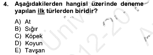 Laboratuvar Hayvanlarını Yetiştirme ve Sağlığı 2012-2013 Ara Sınav - 4. soru