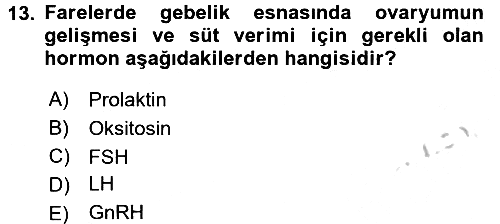 Laboratuvar Hayvanlarını Yetiştirme ve Sağlığı 2016-2017 Ara Sınav - 13. soru
