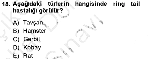 Laboratuvar Hayvanlarını Yetiştirme ve Sağlığı 2014-2015 Dönem Sonu Sınavı - 18. soru