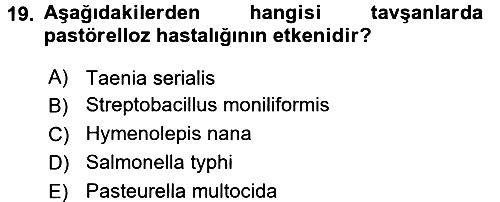 Laboratuvar Hayvanlarını Yetiştirme ve Sağlığı 2015-2016 Dönem Sonu Sınavı - 19. soru
