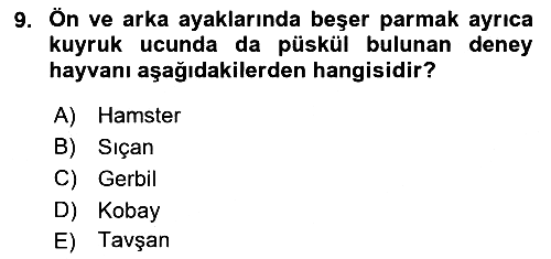 Laboratuvar Hayvanlarını Yetiştirme ve Sağlığı 2018-2019 Dönem Sonu Sınavı - 9. soru
