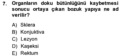 Temel Klinik Bilgisi 2013-2014 Ara Sınav - 7. soru