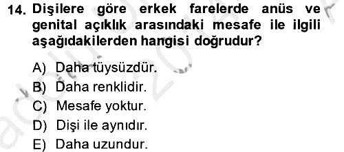 Temel Klinik Bilgisi 2014-2015 Ara Sınav - 14. soru