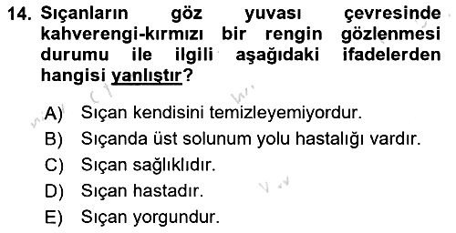 Temel Klinik Bilgisi 2023-2024 Ara Sınav - 14. soru